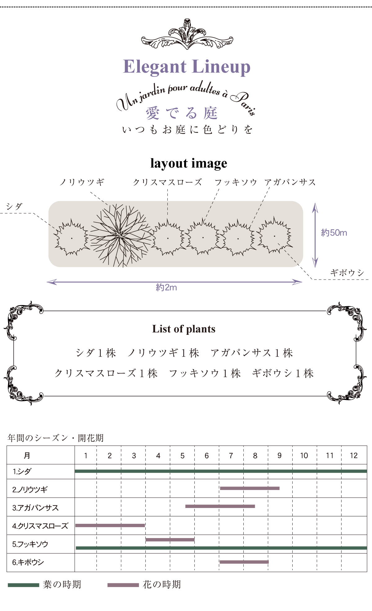 jardan  elegant レイアウトイメージ