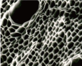 炭の微細孔拡大写真